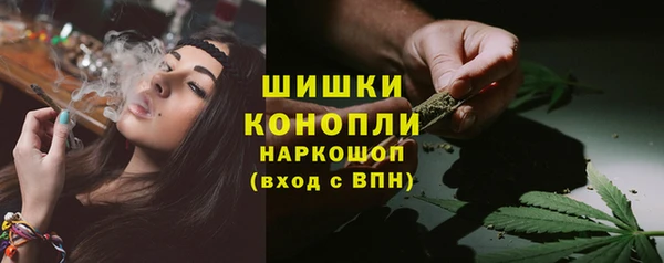стаф Ельня