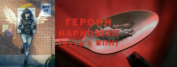 стаф Ельня