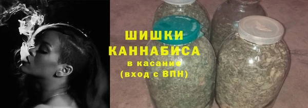 стаф Ельня