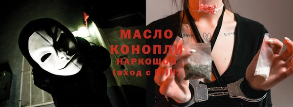 стаф Ельня