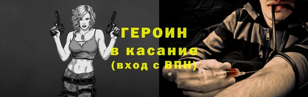 стаф Ельня
