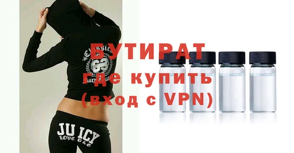 стаф Ельня