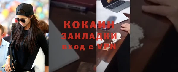 стаф Ельня