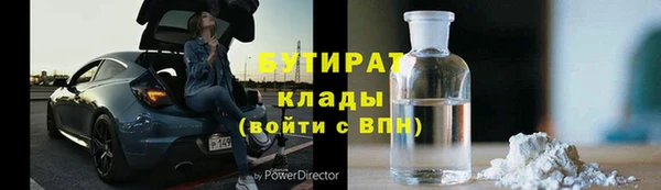стаф Ельня