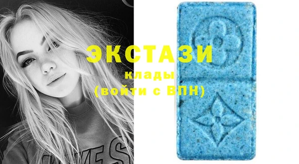 стаф Ельня