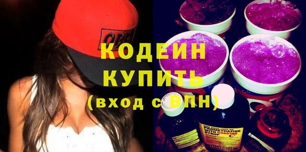 стаф Ельня