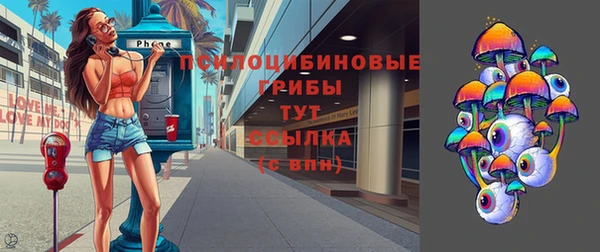 стаф Ельня