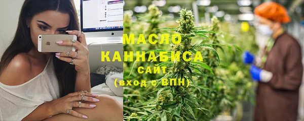 стаф Ельня