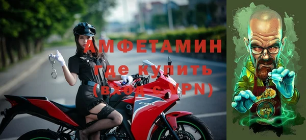 стаф Ельня