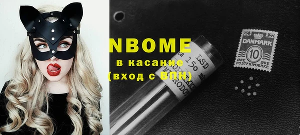 стаф Ельня