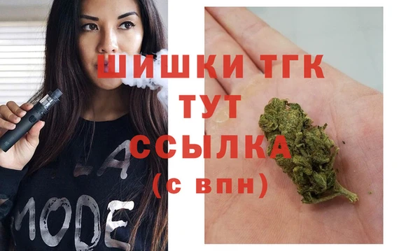 стаф Ельня
