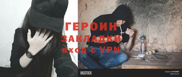 стаф Ельня